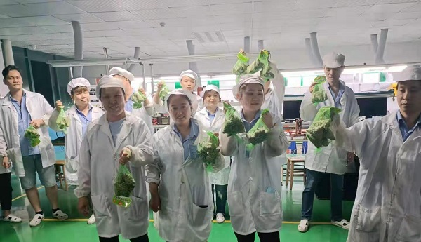 黄瓜视频IOS新能源锂黄瓜视频在线观看免费厂家,向锂电芯生产线发放端午福利