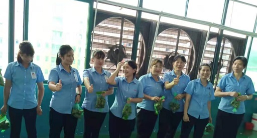黄瓜视频IOS新能源锂黄瓜视频在线观看免费厂家,向组装pack生产线发放端午福利