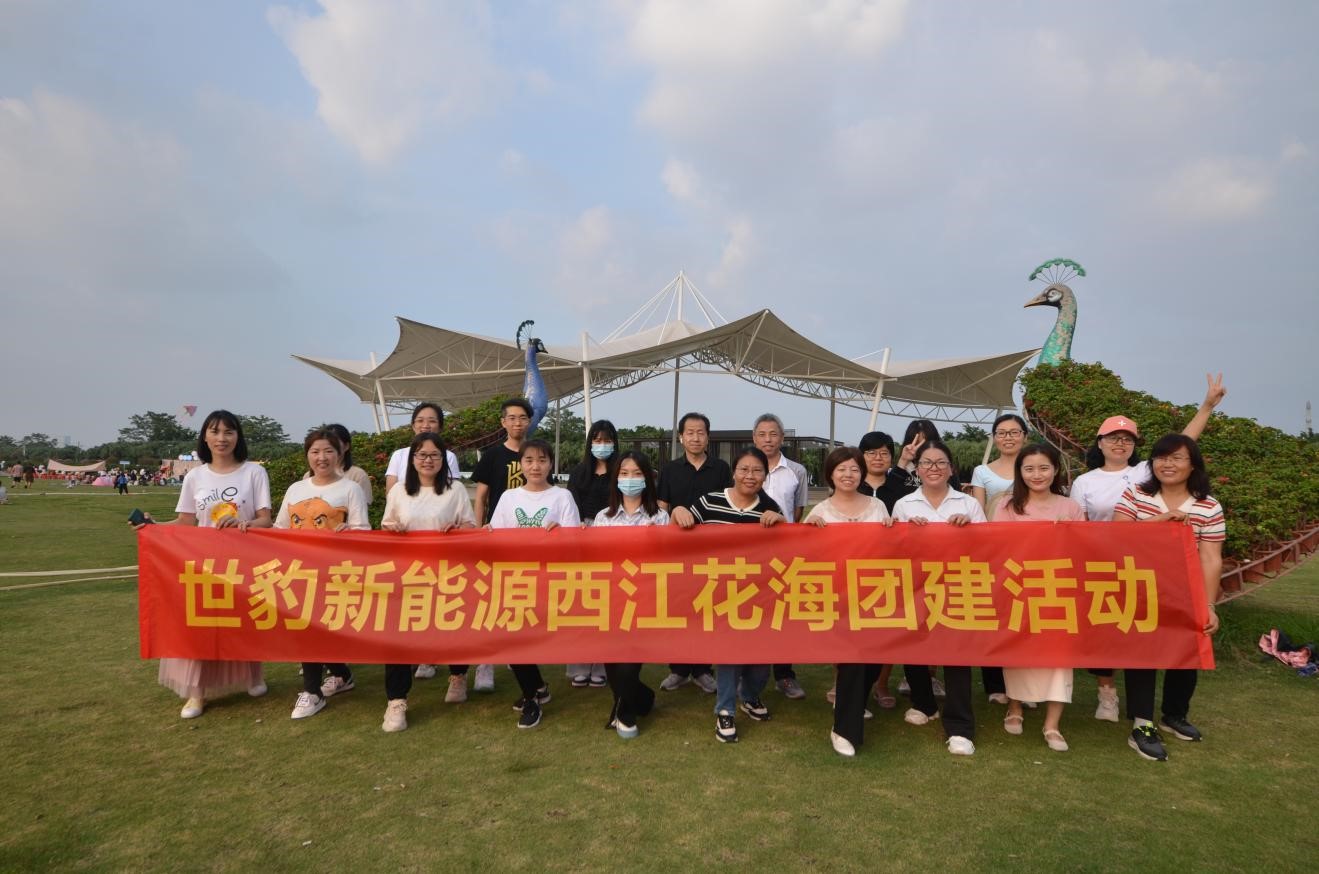 黄瓜视频IOS新能源锂黄瓜视频在线观看免费团队精英团建